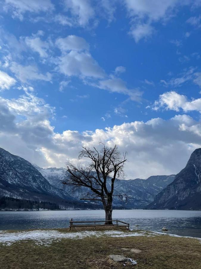 Remarkable Home Bohinj Lake المظهر الخارجي الصورة